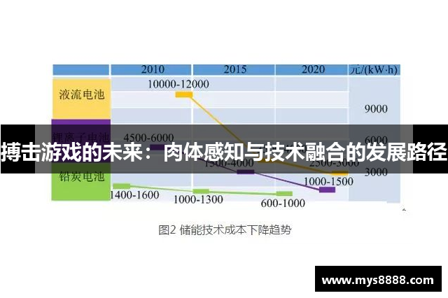 搏击游戏的未来：肉体感知与技术融合的发展路径